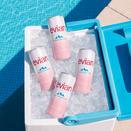 Evian&#x20;en&#x20;canette&#x20;33cl&#x20;&#x28;plate&#x29;
